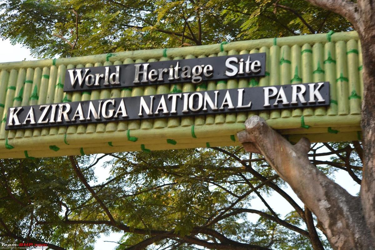 Kaziranga National Park in Assam